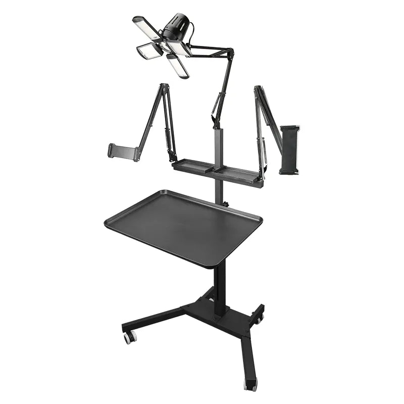 TAIDU PROMOTION MULTI-FUNCTIONAL DOUBLE HOLDER TATTOO BENCH WITH LIGHT - Agenda365.com