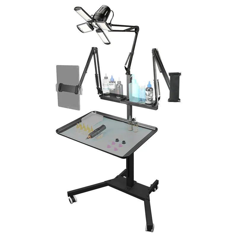 TAIDU PROMOTION MULTI-FUNCTIONAL DOUBLE HOLDER TATTOO BENCH WITH LIGHT - Agenda365.com
