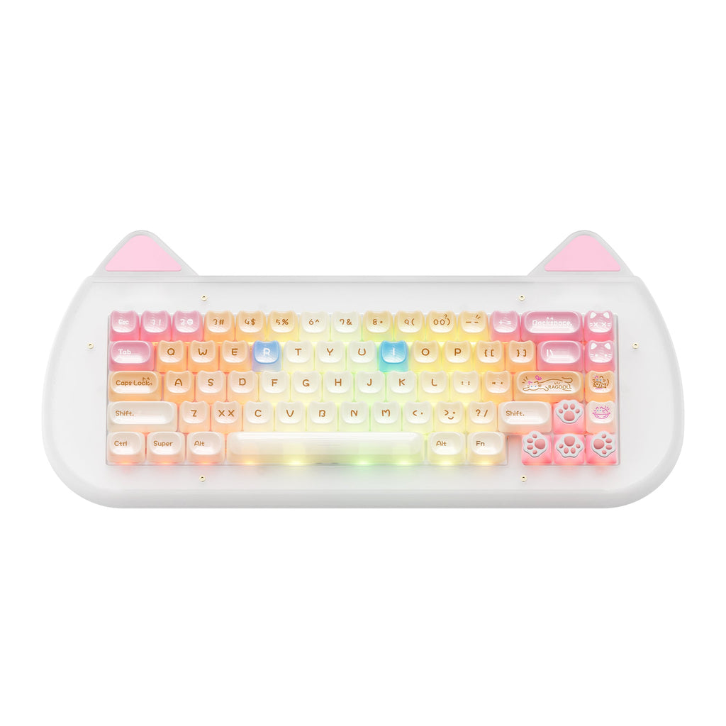 XVX C67 AcriCat Themed Wireless Acrylic Mechanical Keyboard - Agenda365.com