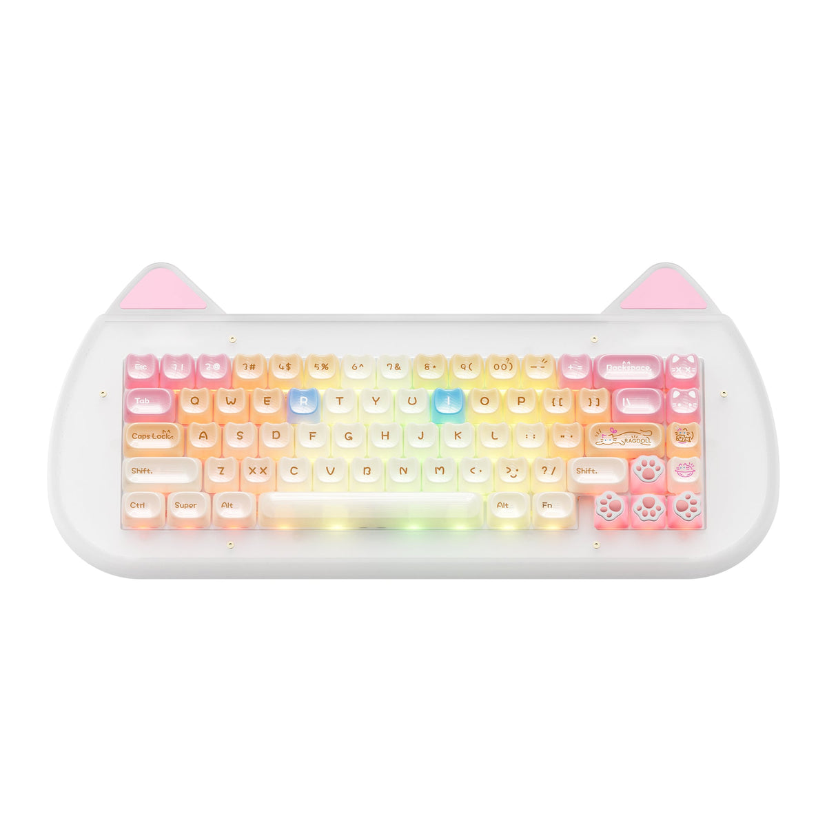XVX C67 AcriCat Themed Wireless Acrylic Mechanical Keyboard - Agenda365.com