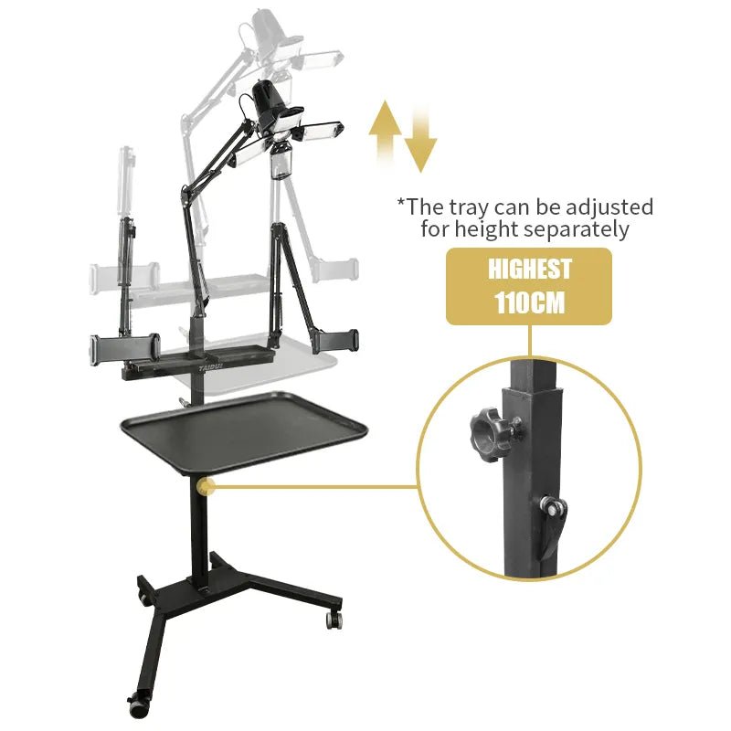 TAIDU PROMOTION MULTI-FUNCTIONAL DOUBLE HOLDER TATTOO BENCH WITH LIGHT - Agenda365.com