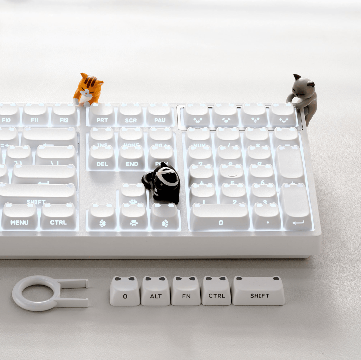 XVX Lumicat MAO Profile Side-Printed Shine-Through 113-Key Keycap Set - Agenda365.com