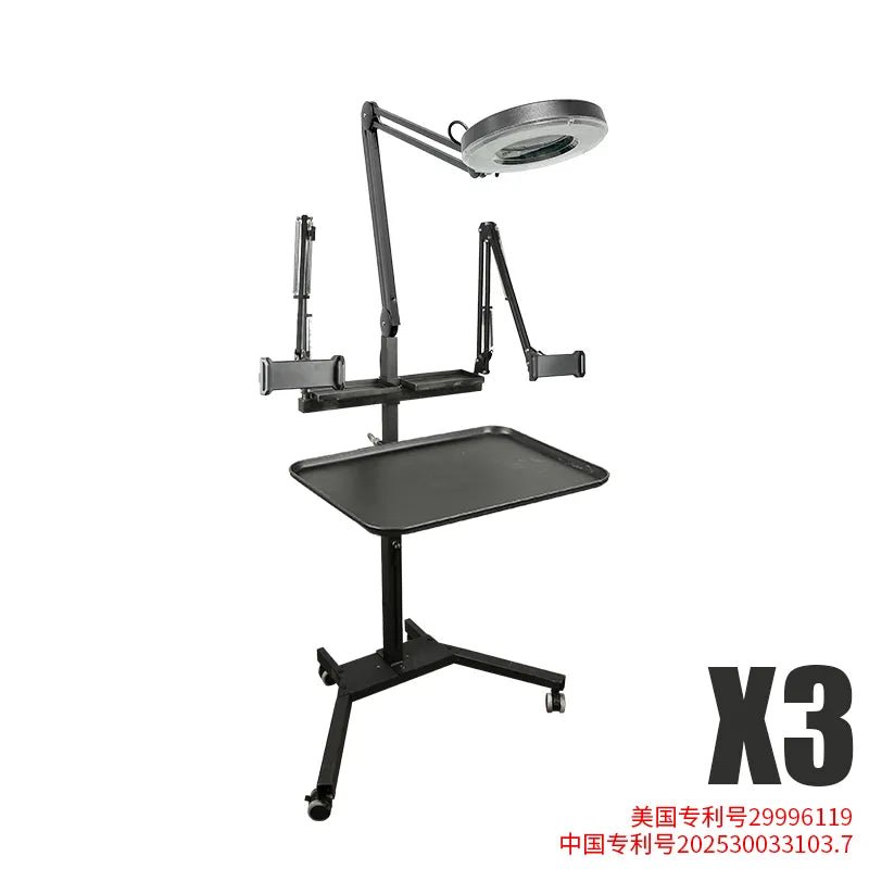 TAIDU PROMOTION MULTI-FUNCTIONAL DOUBLE HOLDER TATTOO BENCH WITH LIGHT - Agenda365.com