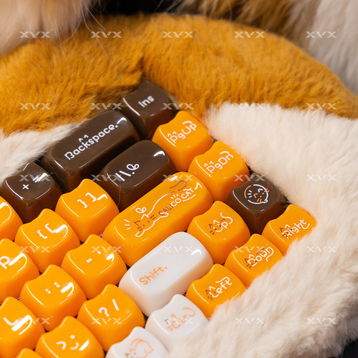 XVX House Cat Themed MAO Profile 149-Key Keycap Set - Agenda365.com