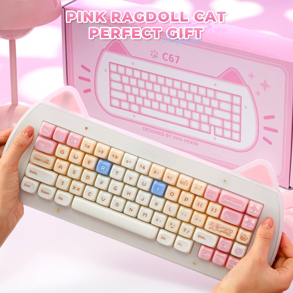 XVX C67 AcriCat Themed Wireless Acrylic Mechanical Keyboard - Agenda365.com