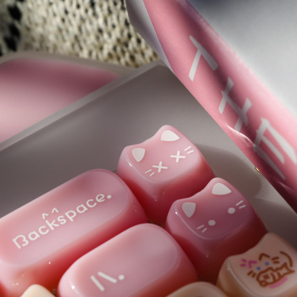 XVX C67 AcriCat Themed Wireless Acrylic Mechanical Keyboard - Agenda365.com