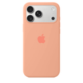 iPhone Silicone Case (Begonia) - Agenda365.com