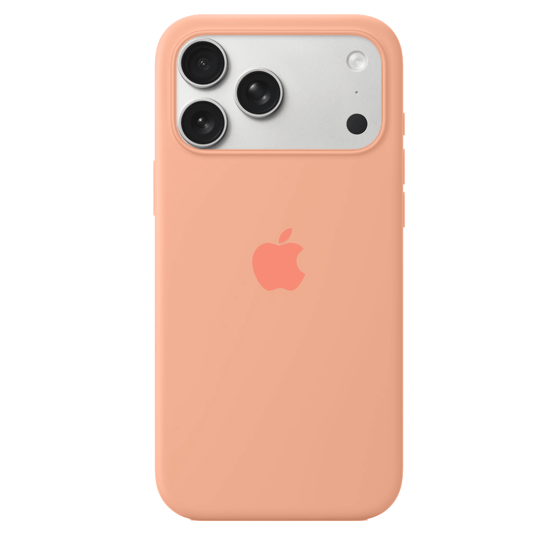 iPhone Silicone Case (Begonia) - Agenda365.com