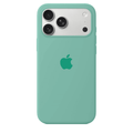 iPhone Silicone Case (Spearmint Green) - Agenda365.com