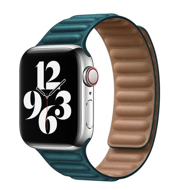Leather Link Apple Watch Bands - Agenda365.com
