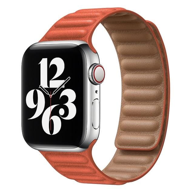 Leather Link Apple Watch Bands - Agenda365.com